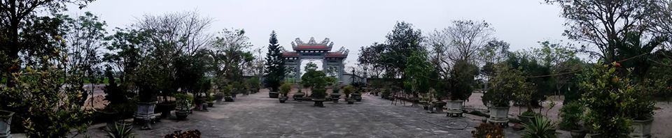 Thông báo